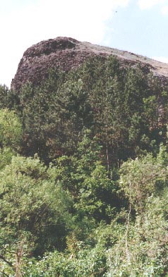Nagyko